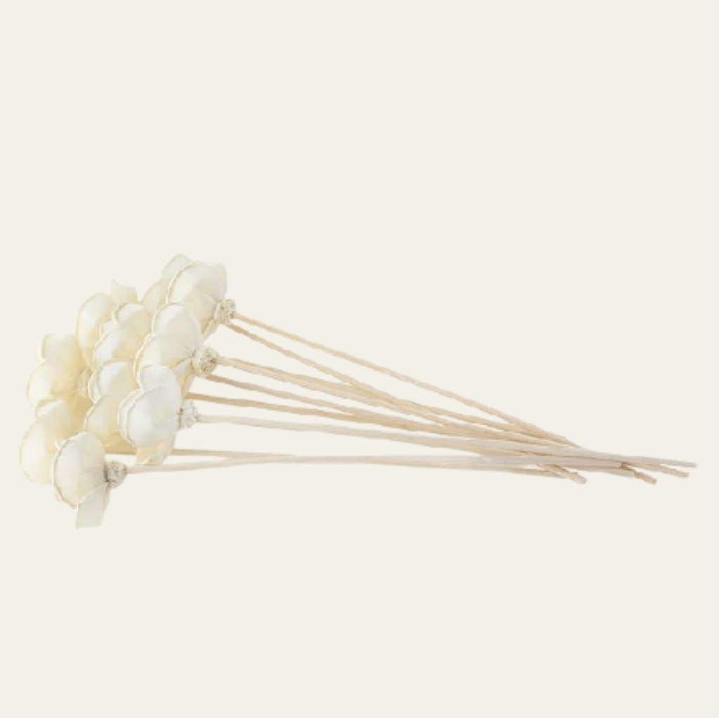Reed Diffuser Refill Kit